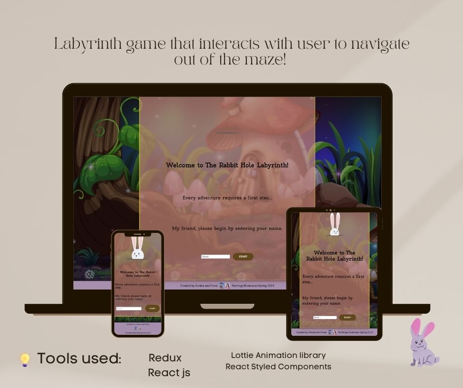 Screenshot of project titled Rabbit Hole Maze-game